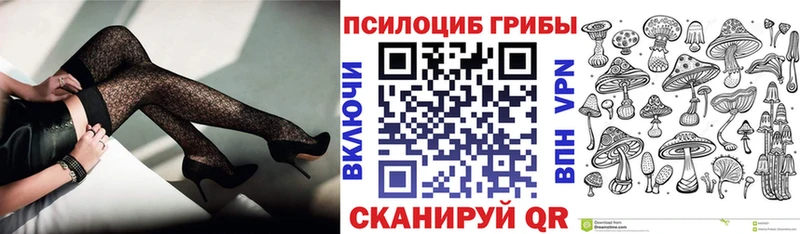 Купить  Якутск  Галлюциногенные грибы Psilocybe 